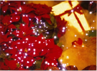kirakira2011_よつさん賞_イヴの期待.jpg