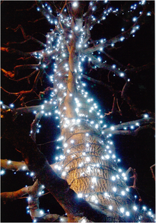 kirakira2011_優秀賞.jpg